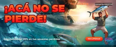 Experiencia de Casino El Polo
